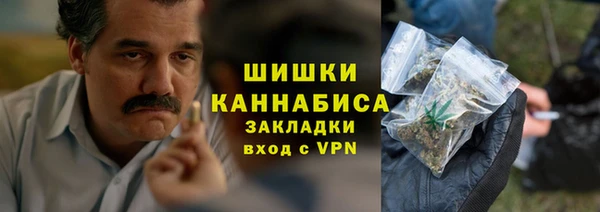 прущие грибы Аркадак