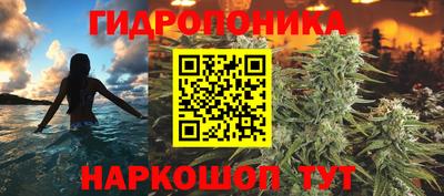 ГАЛЛЮЦИНОГЕННЫЕ ГРИБЫ Свободный